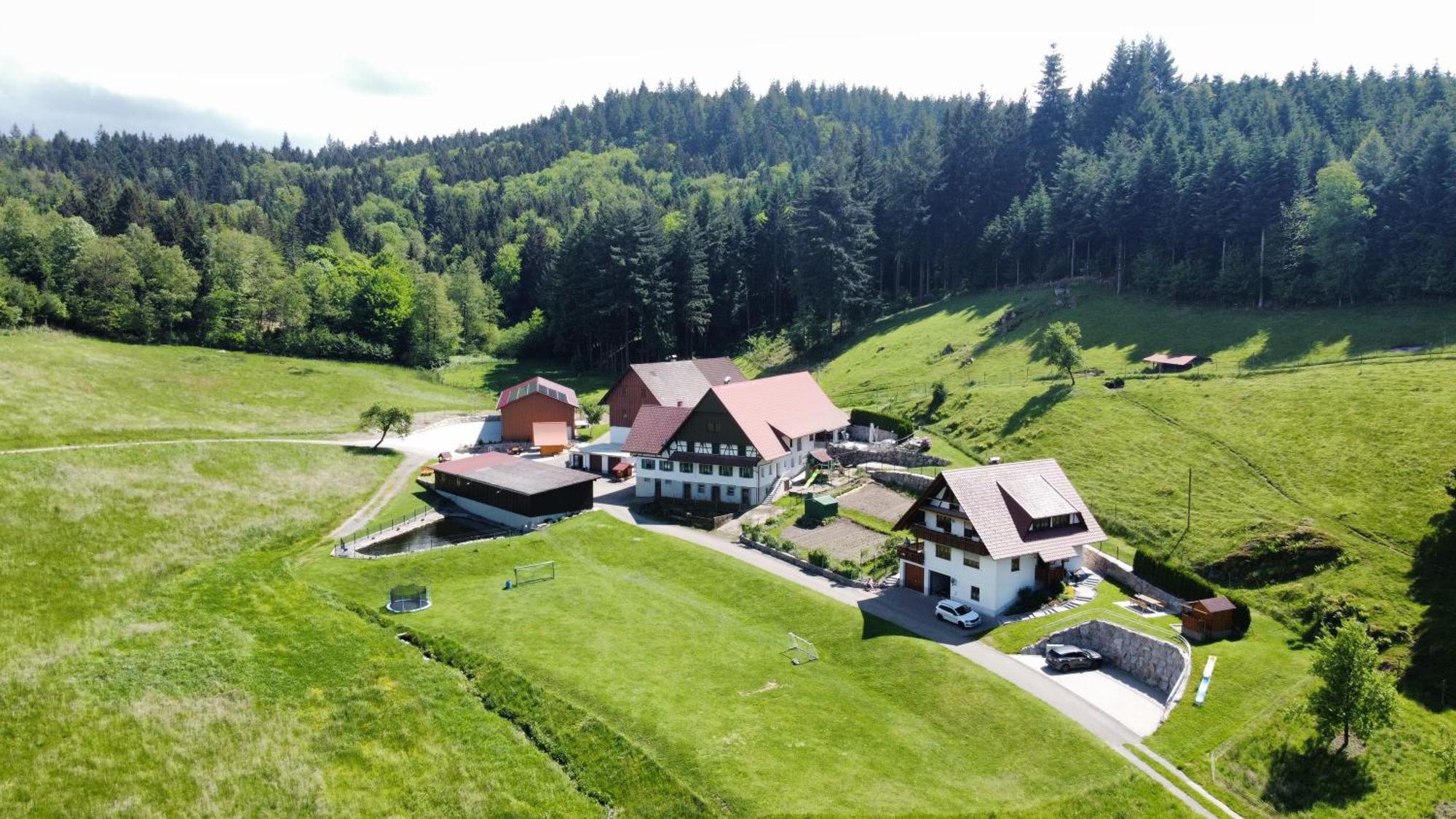 Ferienhof Benz Kappelrodeck Bagian luar foto